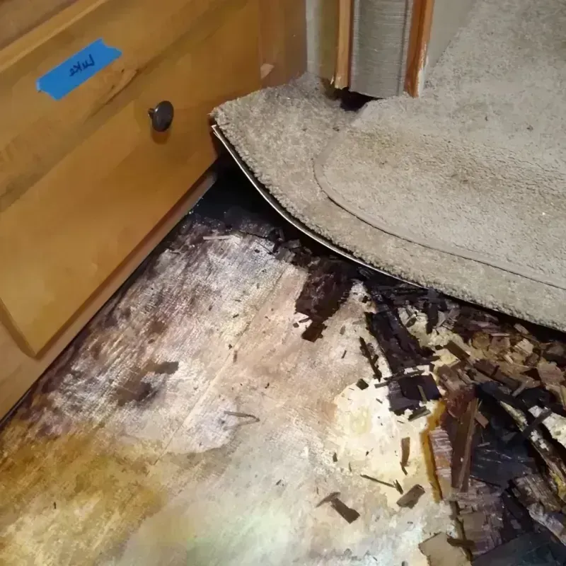 Wood Floor Water Damage in Port Reading, NJ